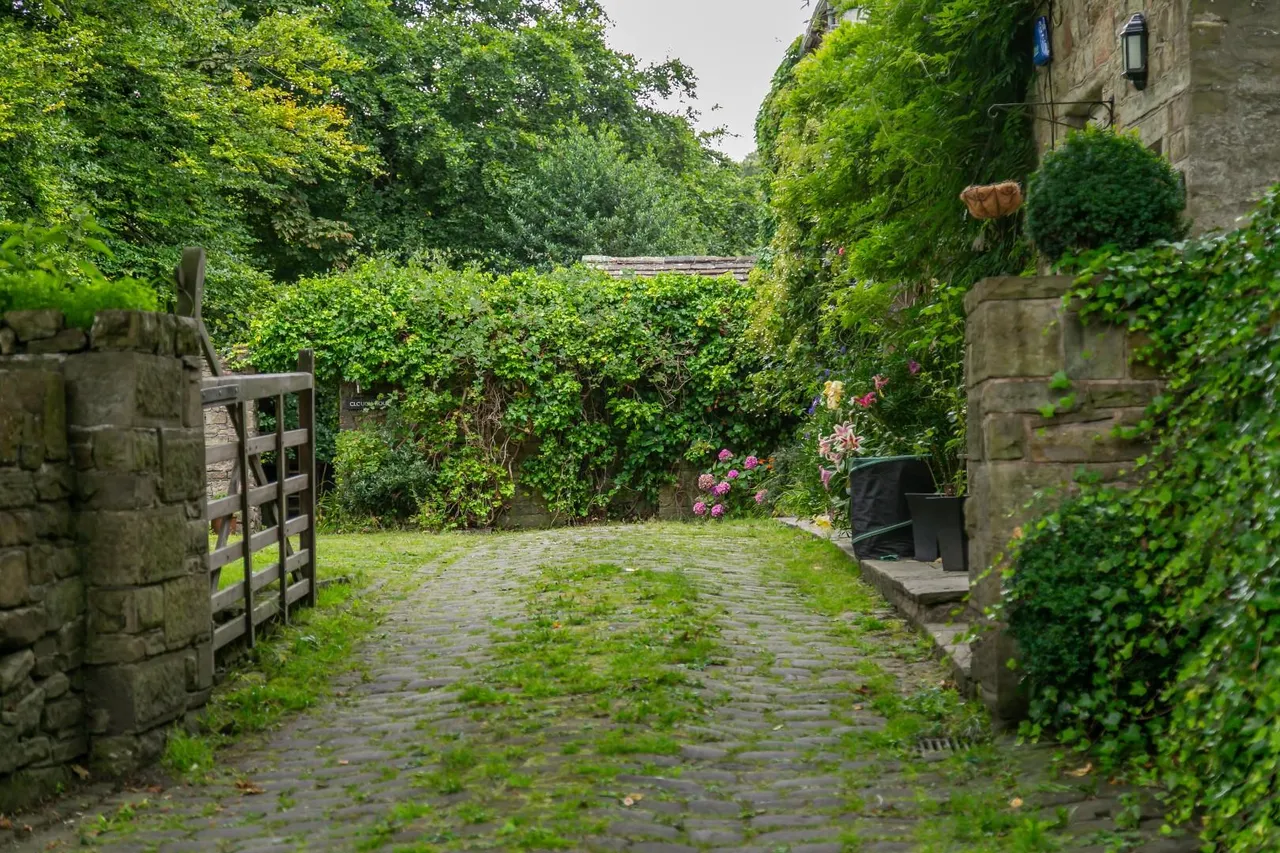 Tor Side, Helmshore, BB4 4AJ, photo 46