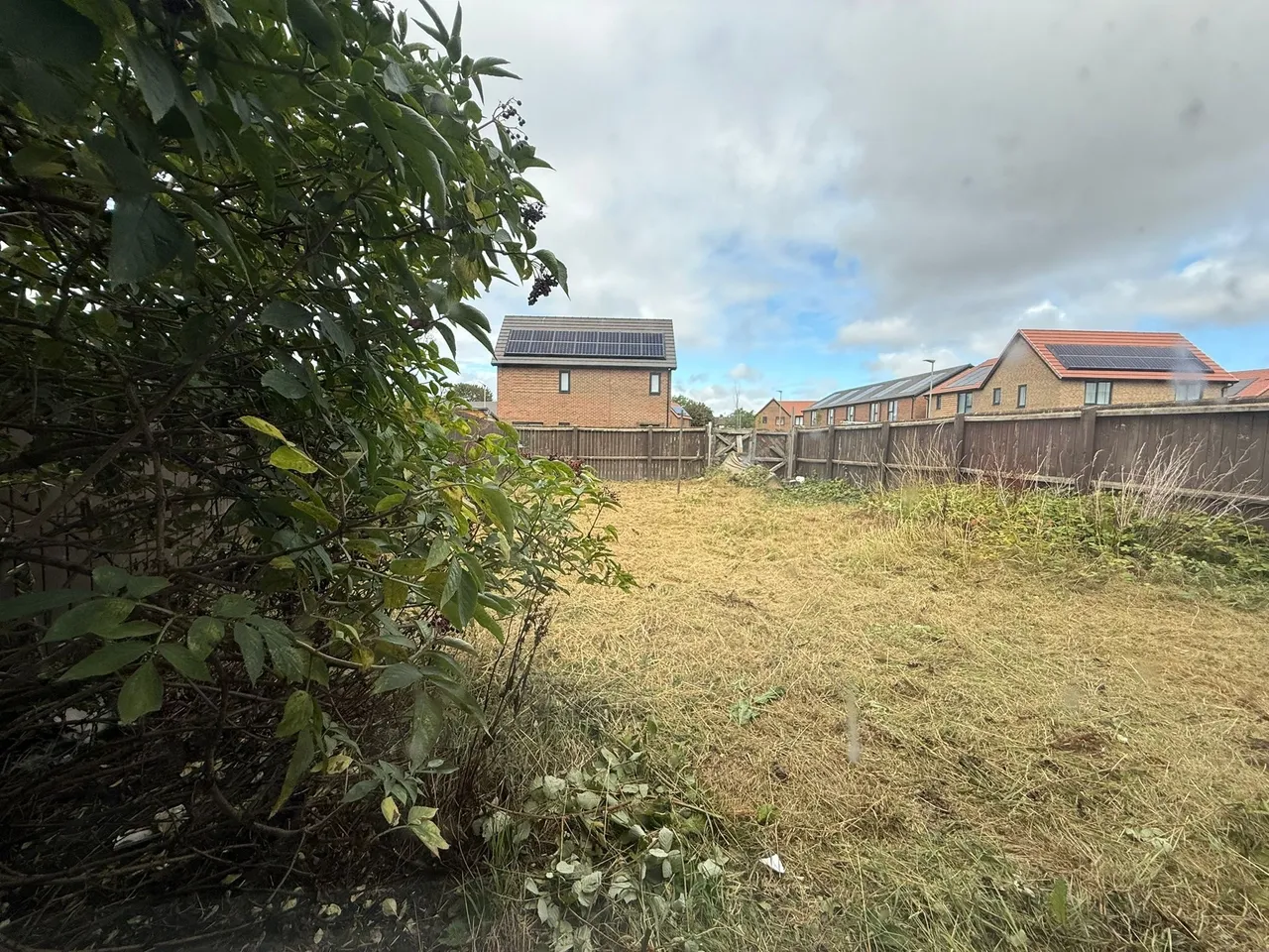 Pallister Avenue, Middlesbrough, TS3, photo 7