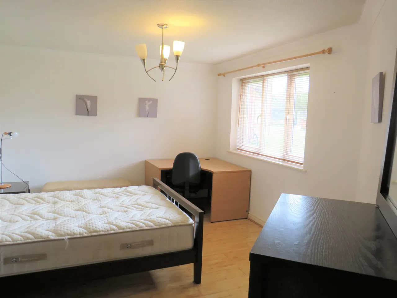 The Avenue, NEWMARKET, photo 5