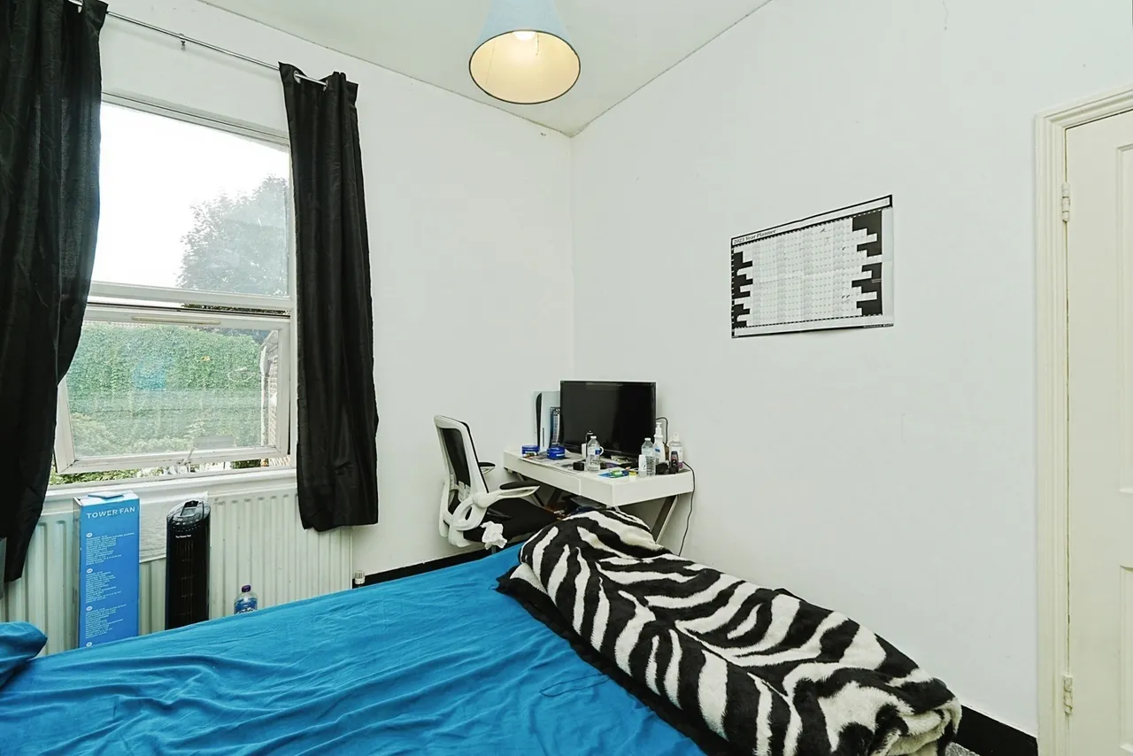 Kangley Bridge Road, London, SE26, photo 14