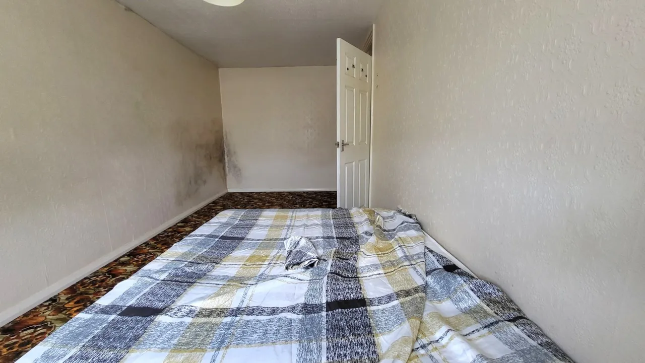 Swanspool, Ravensthorpe, PE3, photo 9