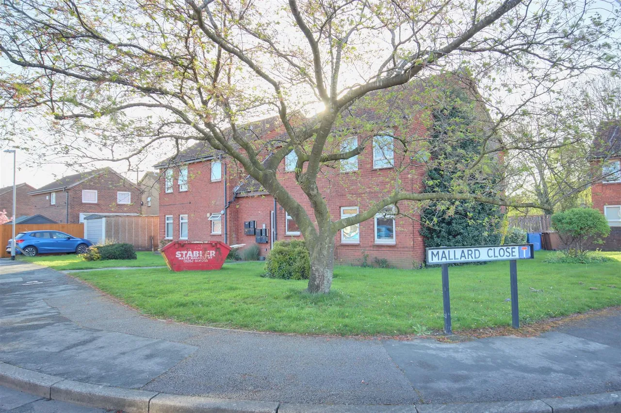 Thurlow Avenue, Beverley, photo 8