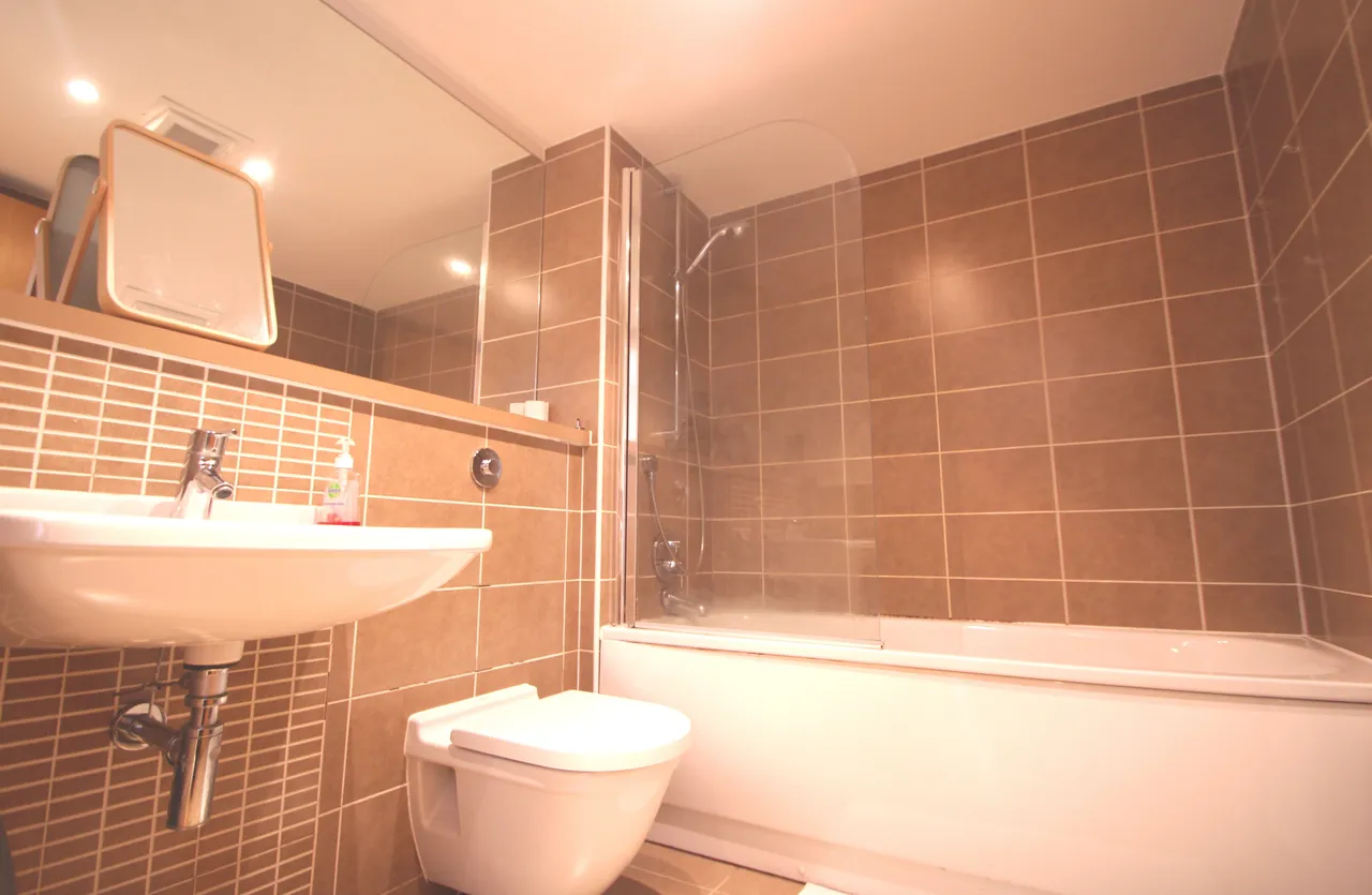18 McPherson Street, Glasgow, G1 5AJ, photo 13