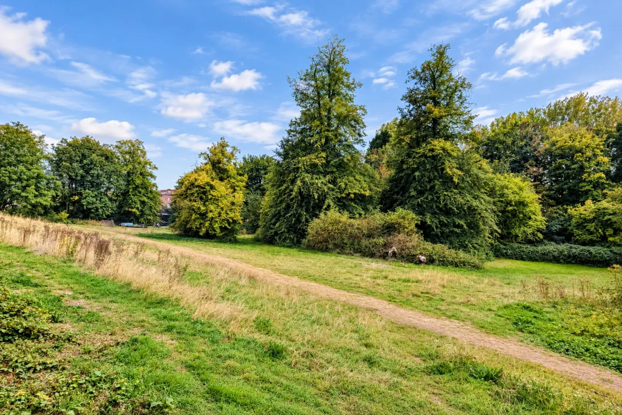 Oram Place, Hemel Hempstead, HP3, photo 17