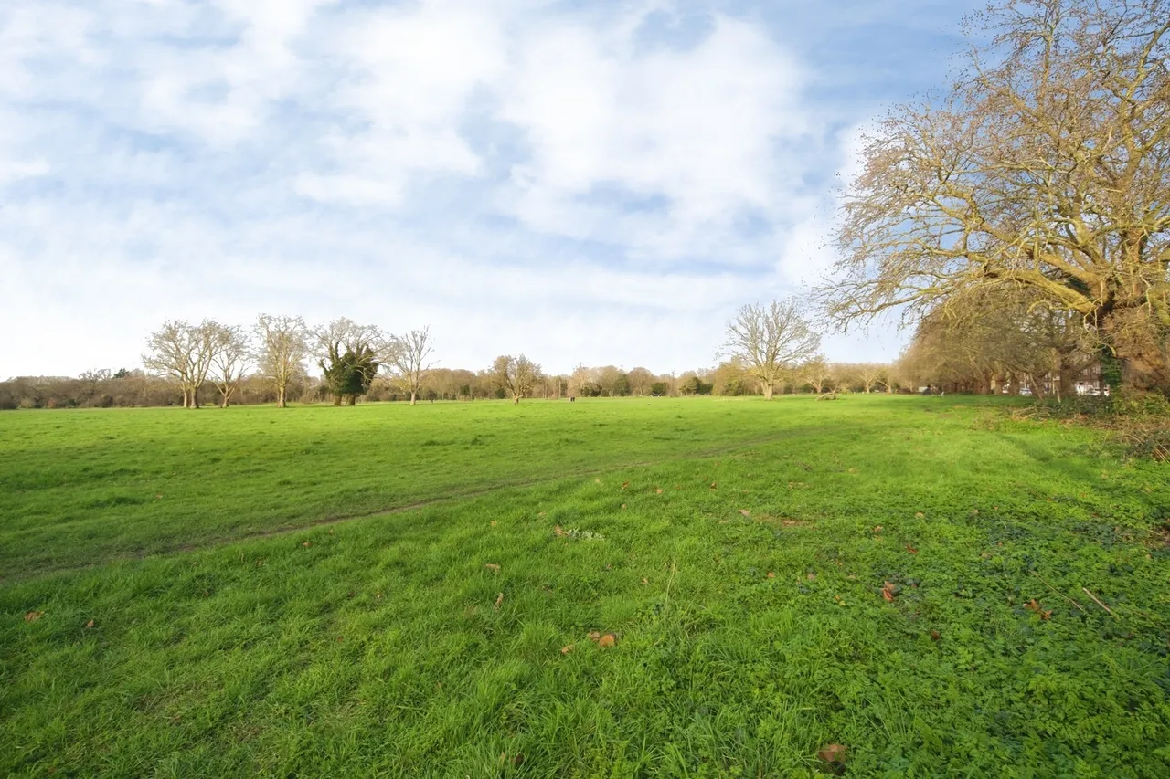 Forest View Road, Manor Park, London, E12, photo 12