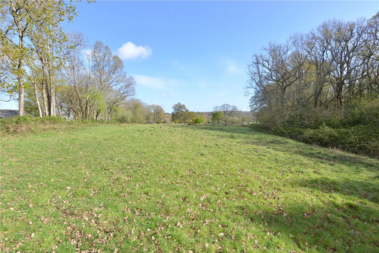 Rockbourne Road, Sandleheath, Fordingbridge, Hampshire, SP6 1QF, photo 22