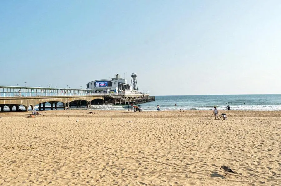 Durley Gardens, Bournemouth, BH2, photo 17