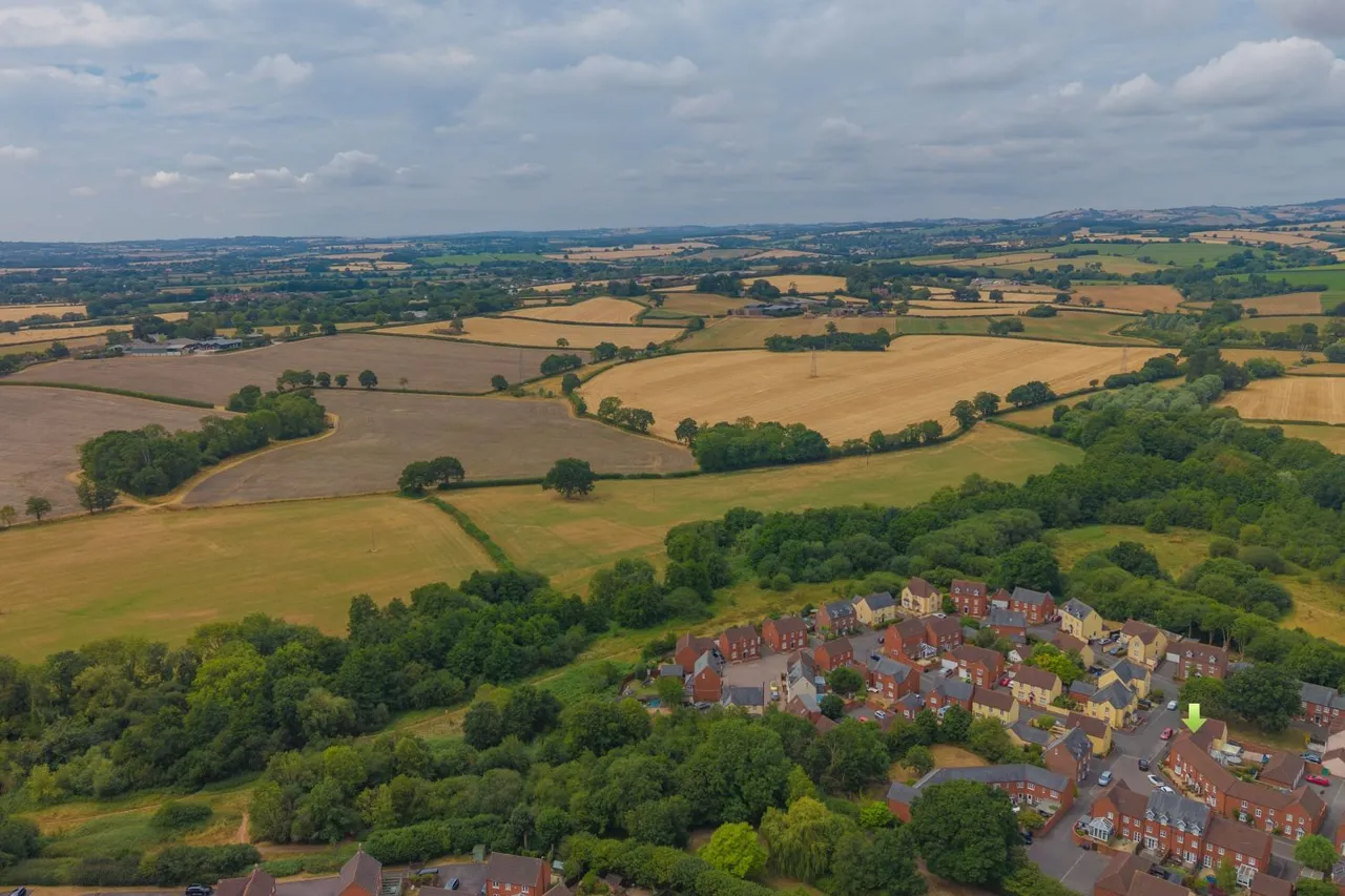 Burge Meadow, Cotford St. Luke, TA4, photo 18