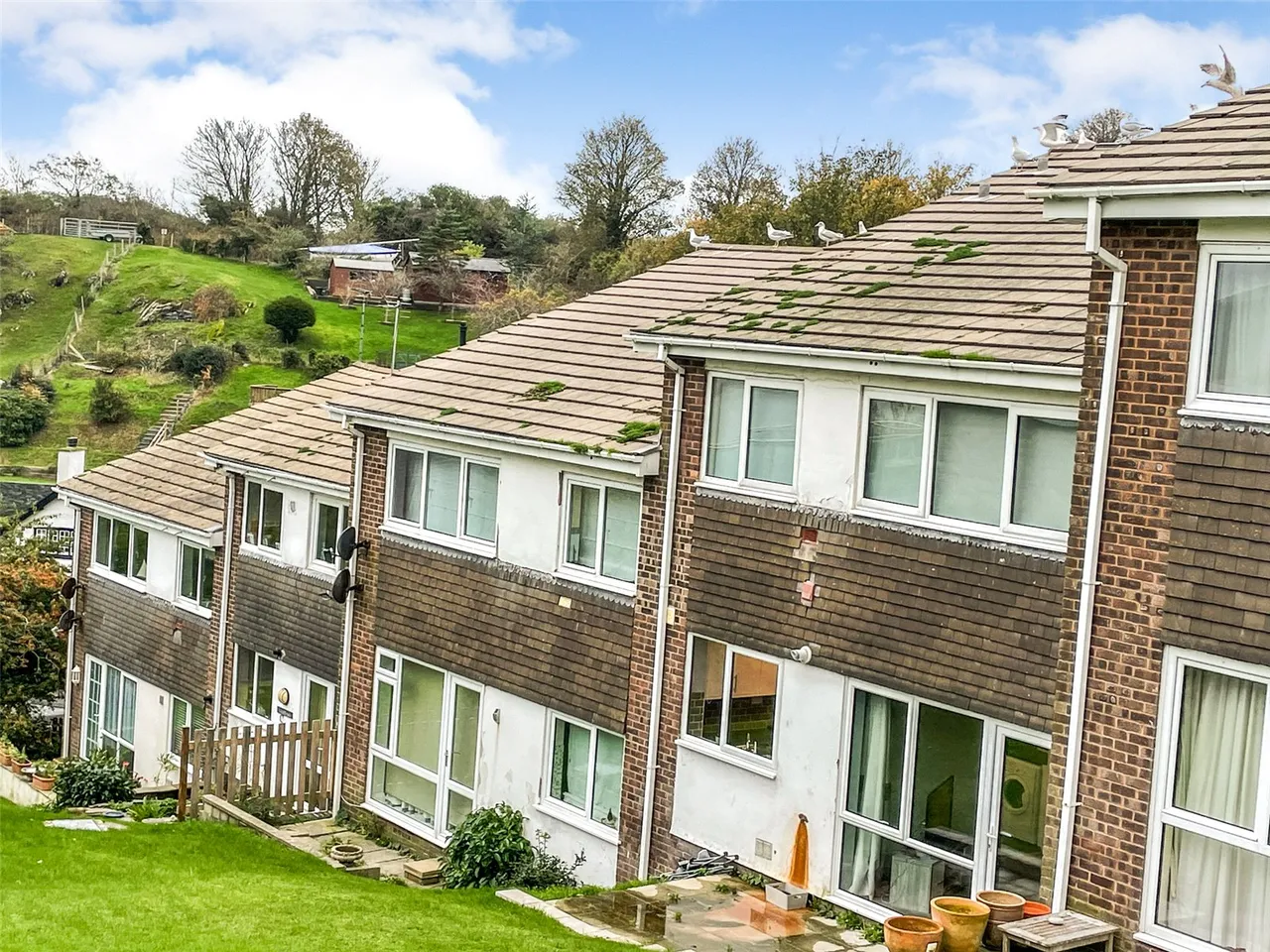 Cae Argoed, Aberdyfi, photo 10