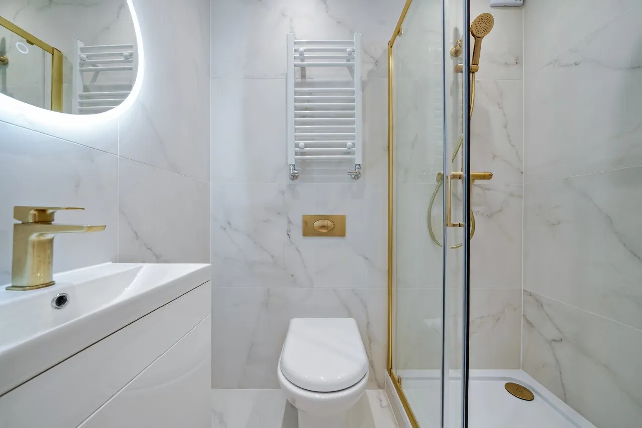 Seymour Road, Southfields, SW18, photo 5
