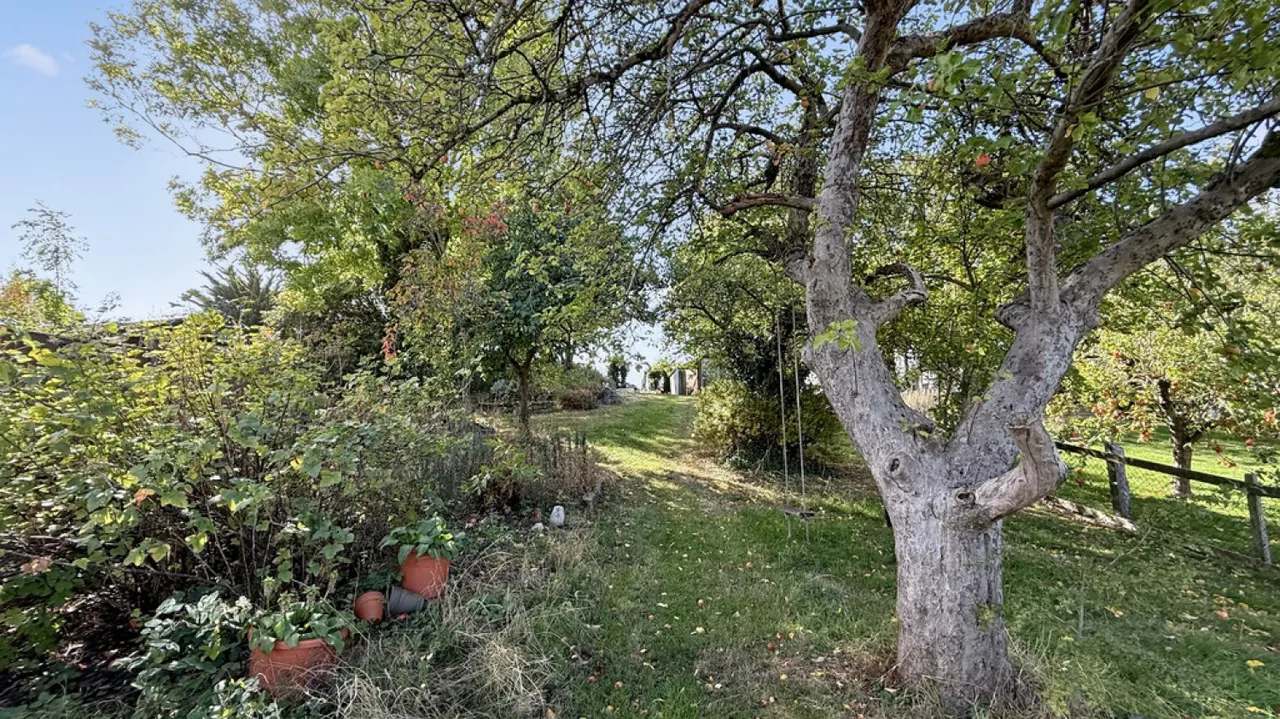 Newtown, Westbury, BA13, photo 22