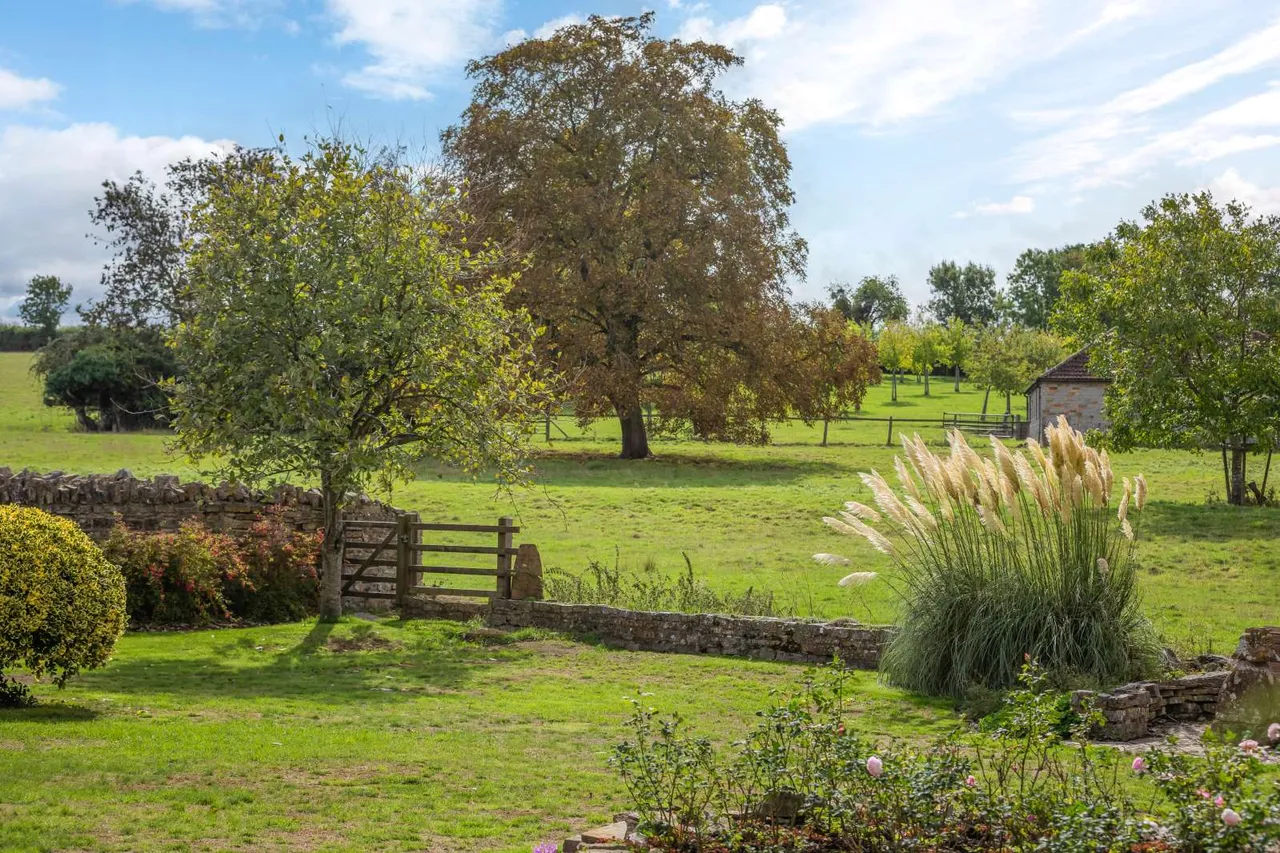Long Sutton, Langport, TA10, photo 19