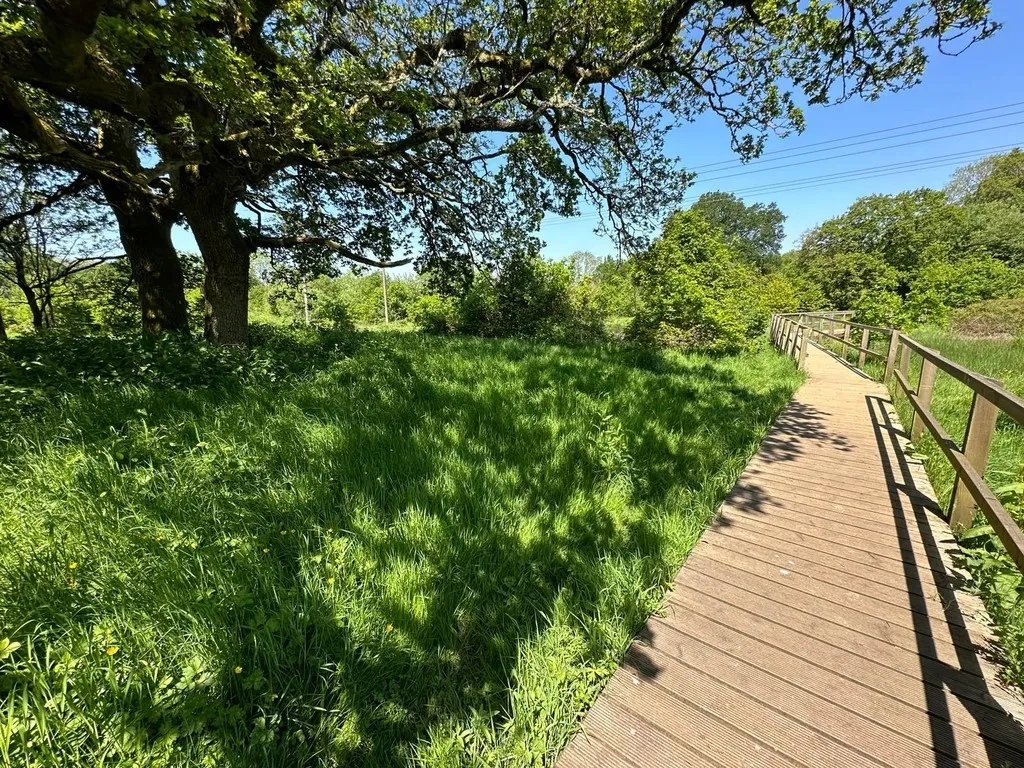 Jubilee Drive, Church Crookham, photo 6