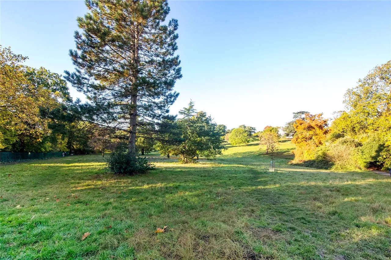Averil Grove, London, SW16, photo 16