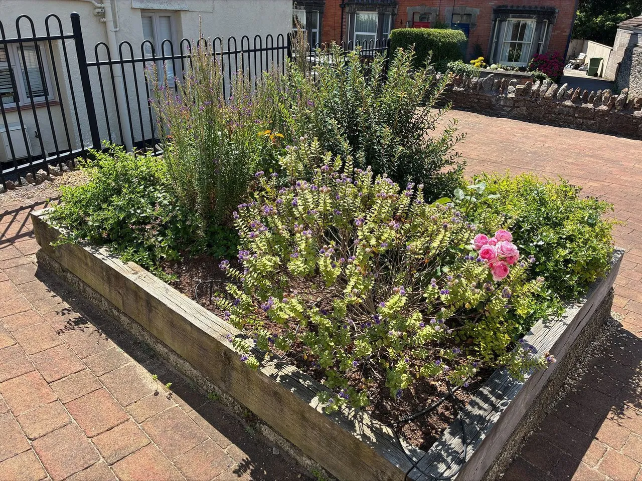 North Road, Wells, BA5, photo 19