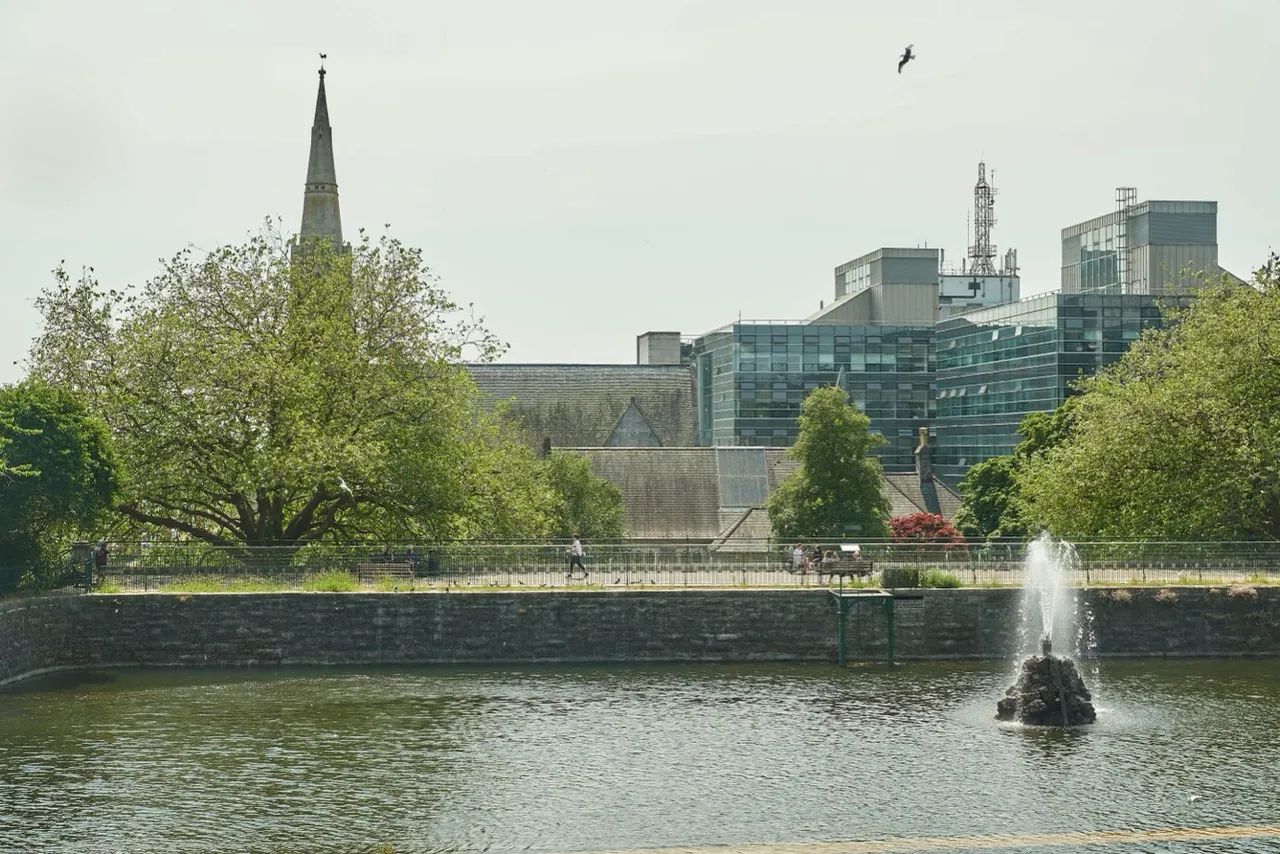 The Reservoir, North Hill, photo 6