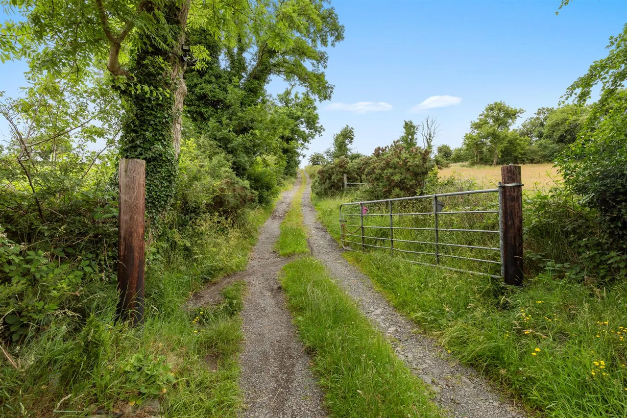 Ballynahinch Road, Dromore, BT25, photo 19
