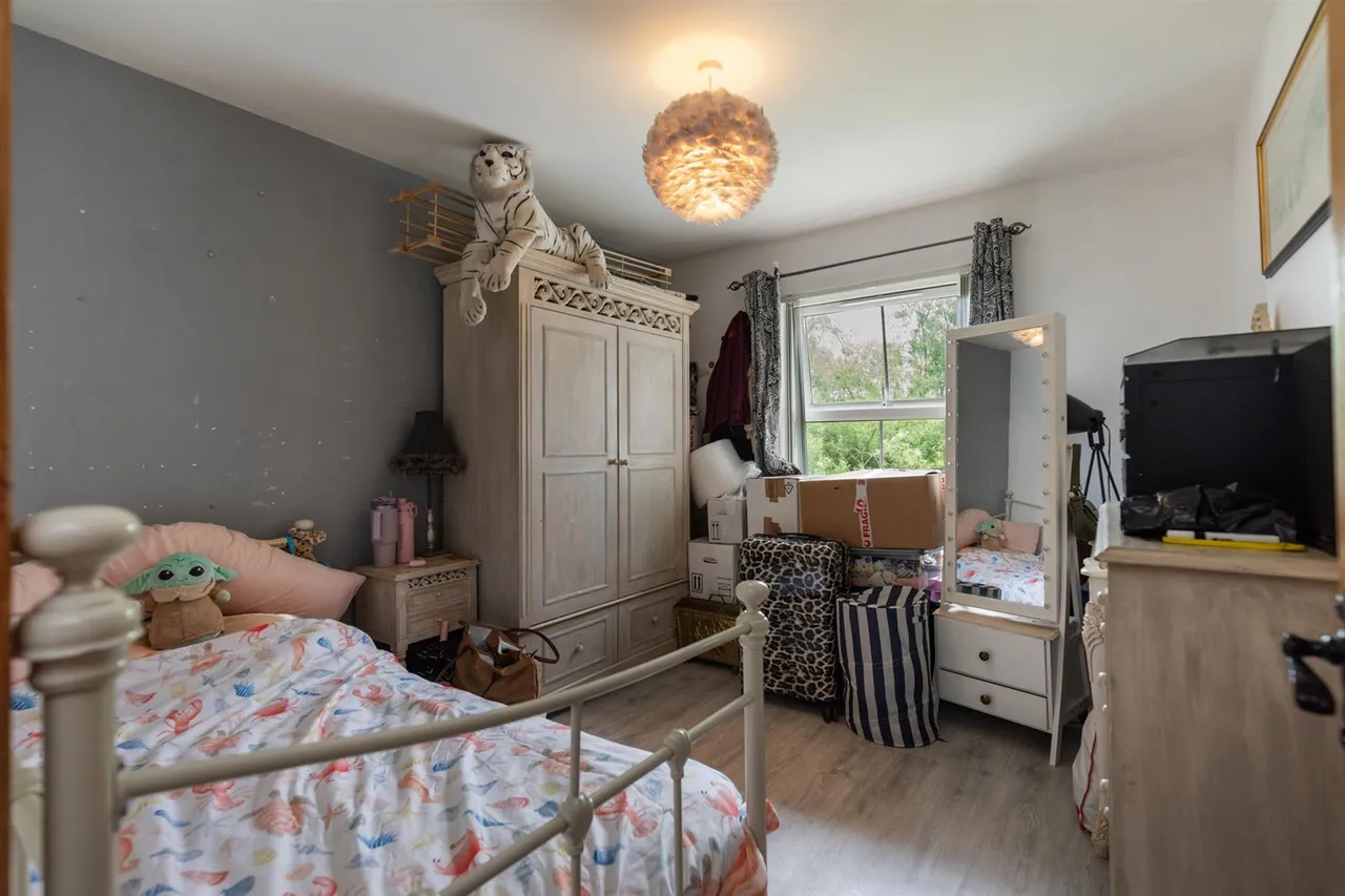 Ballynahinch Road, Dromore, BT25, photo 14