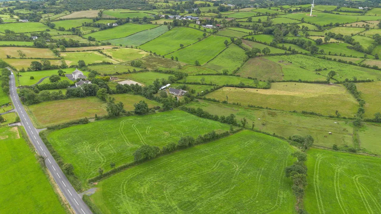 Ballynahinch Road, Dromore, BT25, photo 28
