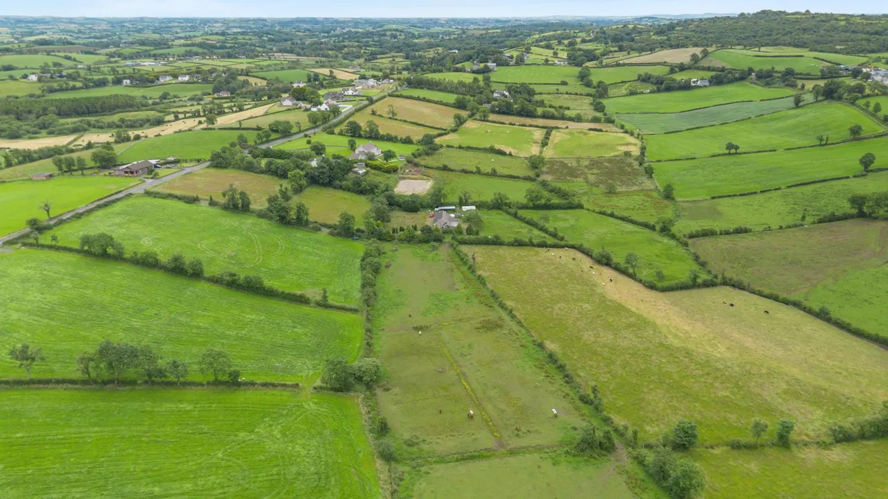 Ballynahinch Road, Dromore, BT25, photo 27