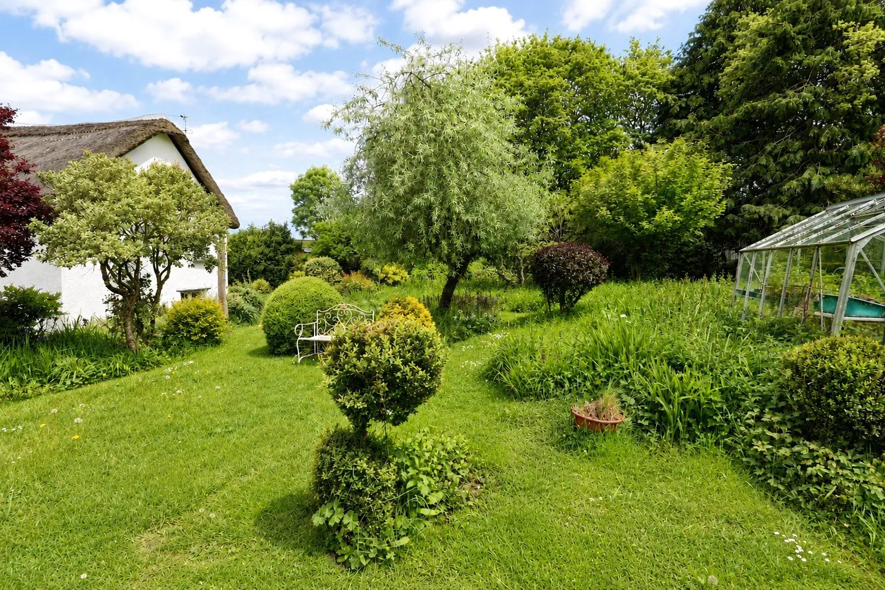 Umberleigh, Devon, photo 6