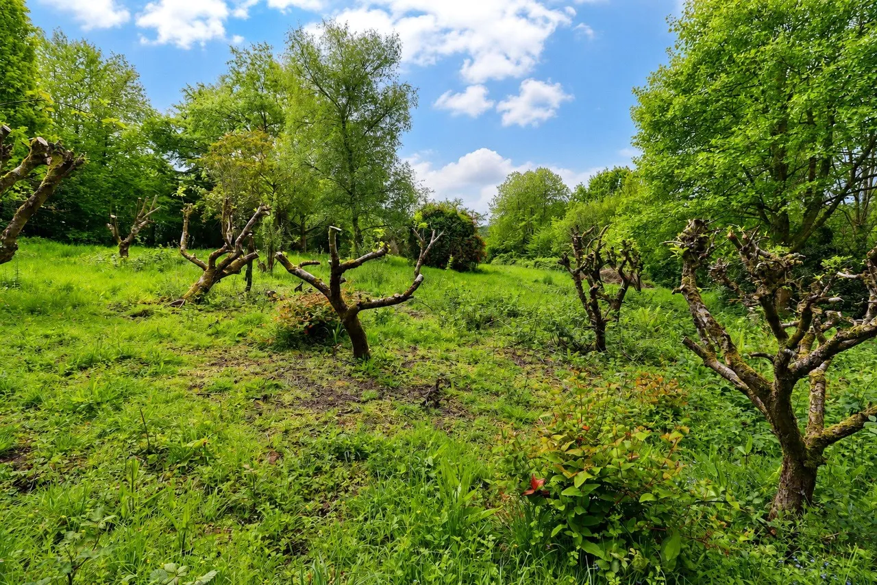 Umberleigh, Devon, photo 10