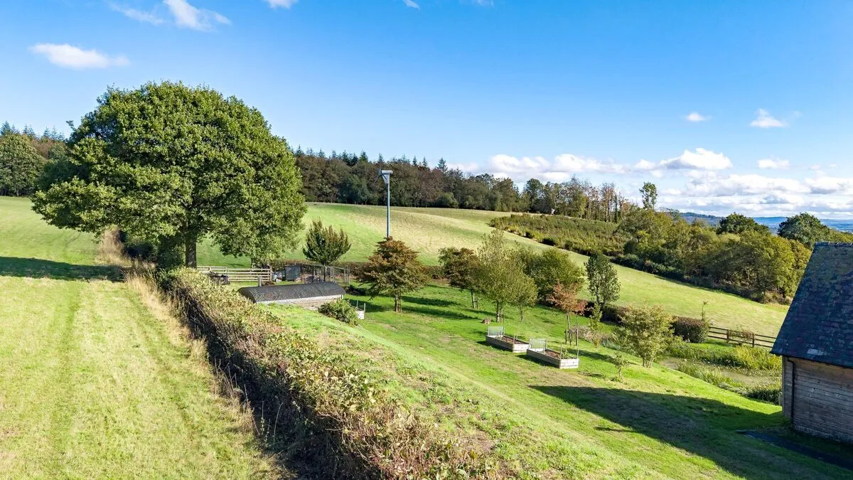 Norton, Presteigne, LD8, photo 14