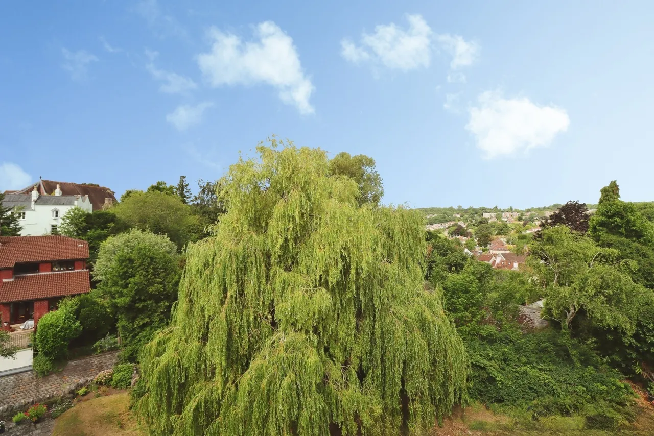 Chock Lane, Bristol, Somerset, BS9, photo 5