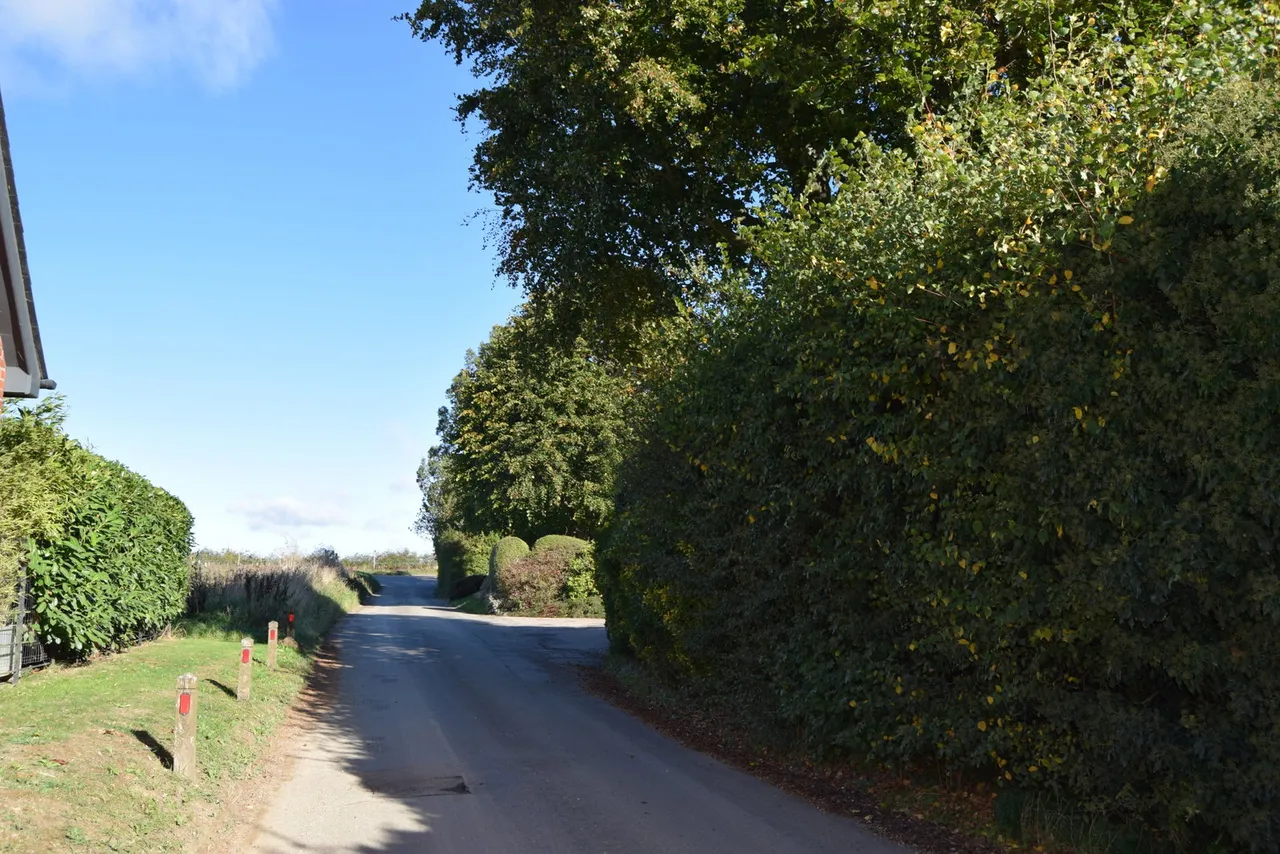 Brickyard Lane, Reed, SG8, photo 32