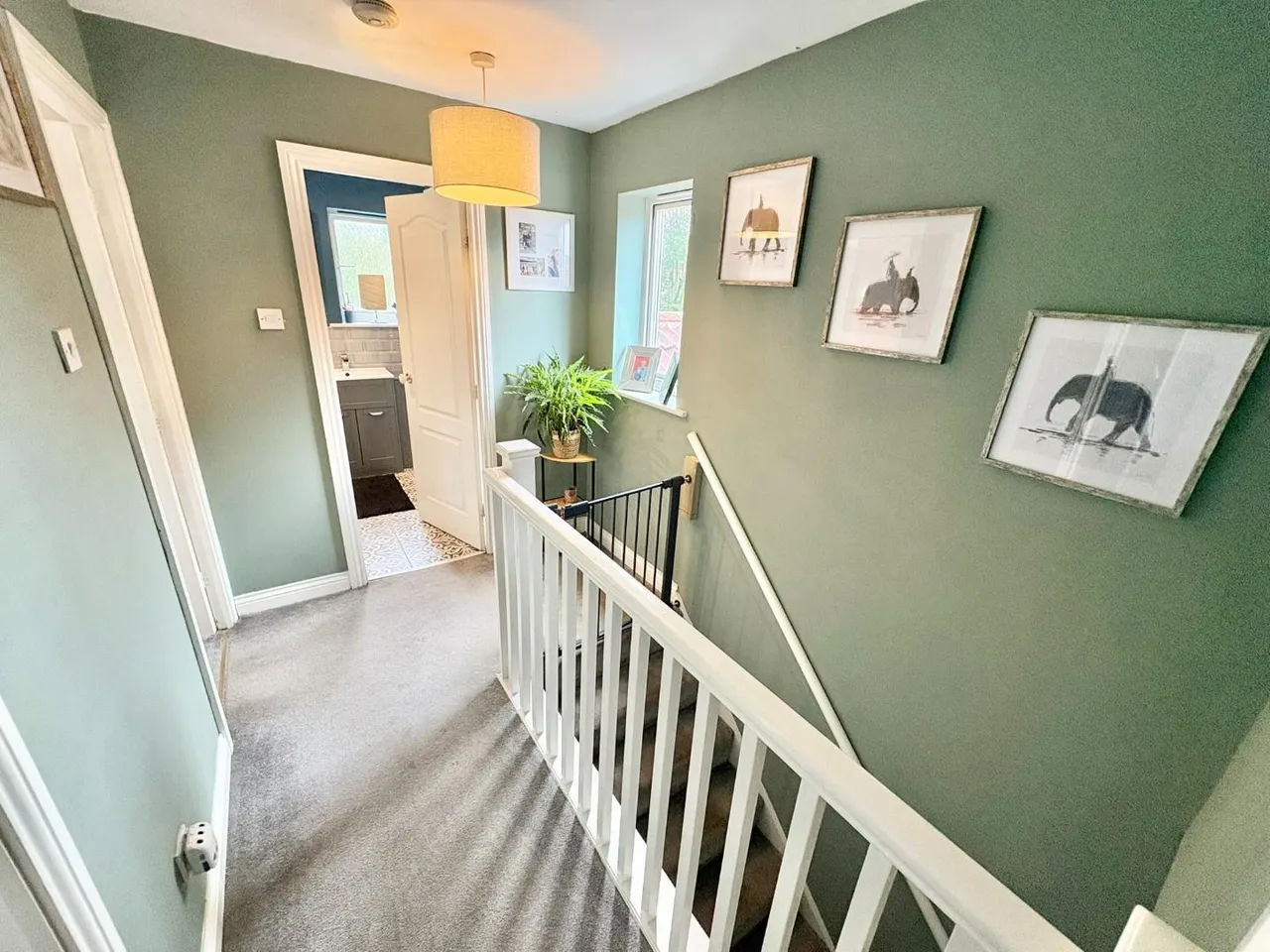 Meadow Green, Spennymoor, DL16, photo 16