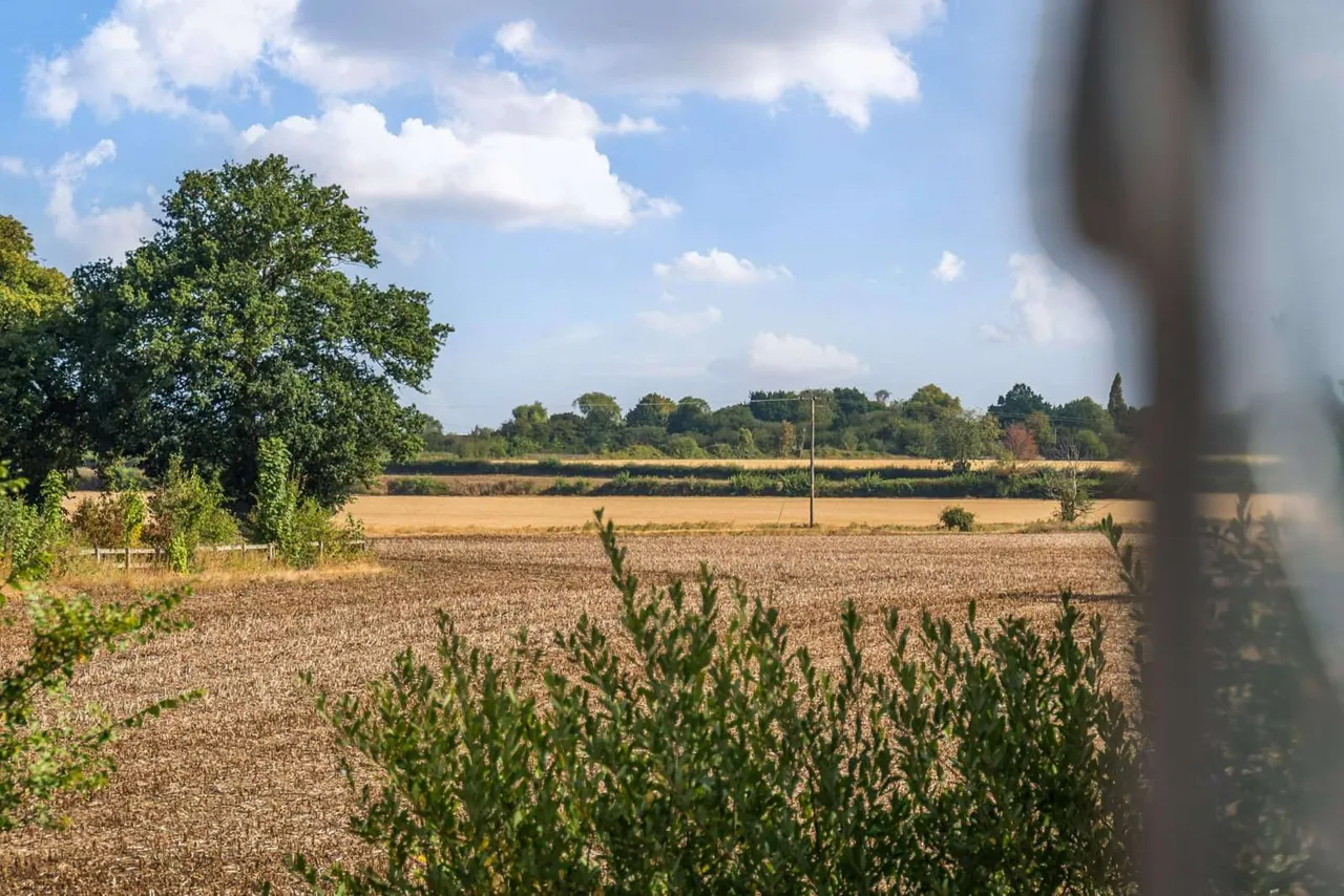 Brettenham, Ipswich, Suffolk, IP7 7PE, photo 7