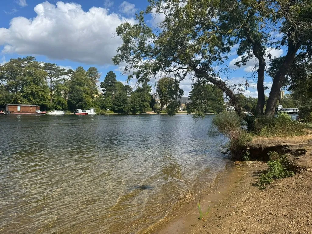 Buckingham Avenue, West Molesey KT8 1TG, photo 19