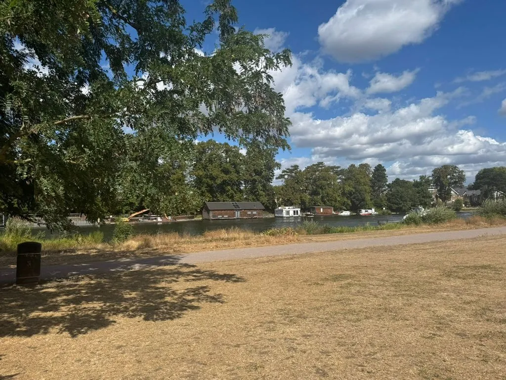 Buckingham Avenue, West Molesey KT8 1TG, photo 18