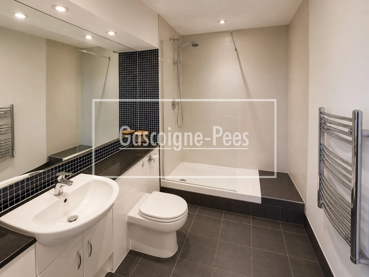 Trinity Gate, Guildford, GU1, photo 7