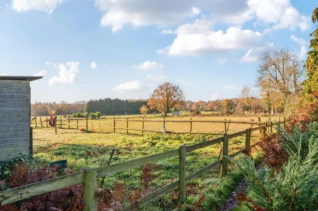 Rapleys Field, Pirbright, GU24, photo 24