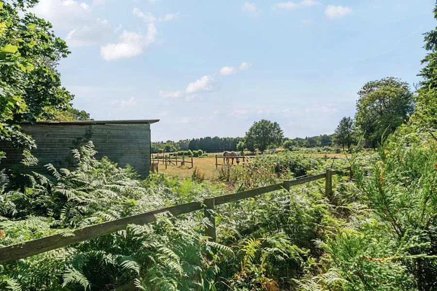 Rapleys Field, Pirbright, GU24, photo 23