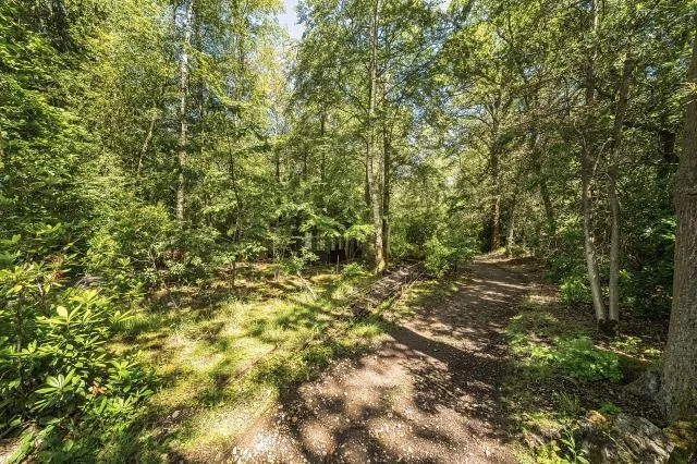 Winchester Road, Newbury, RG20, photo 16