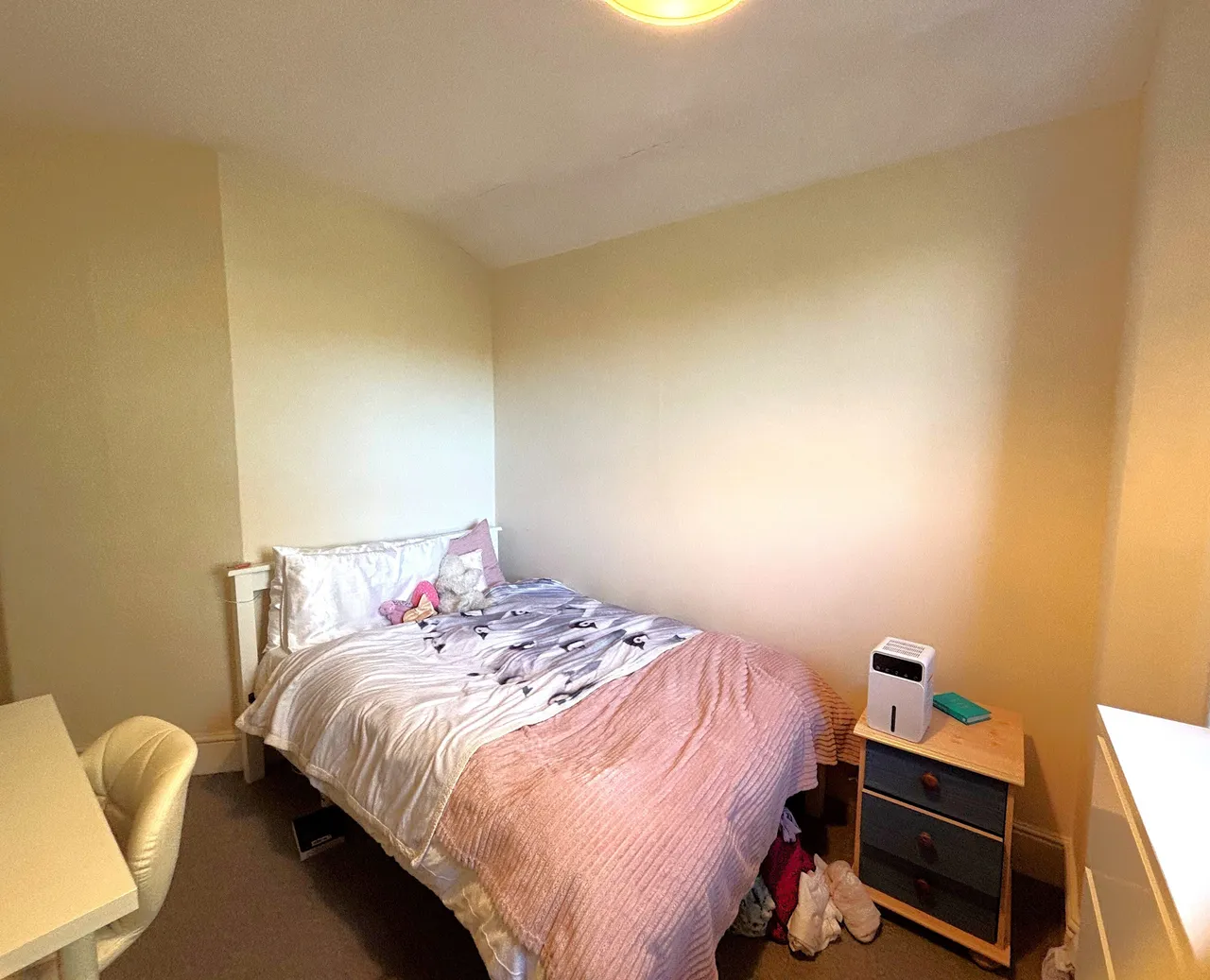 Priory Road, EX4, photo 11