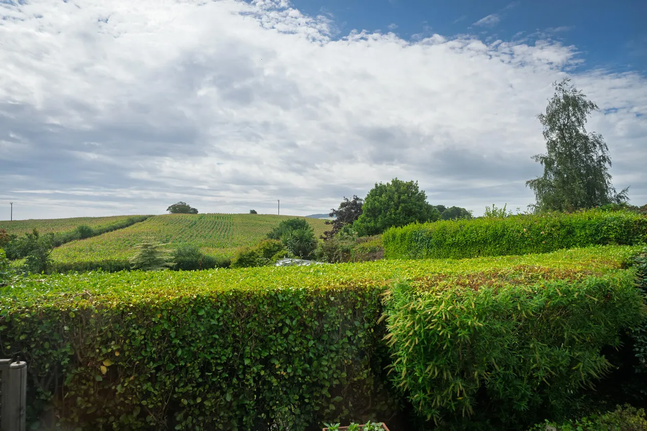 Burnside Park, crawfordsburn, BT19, photo 25