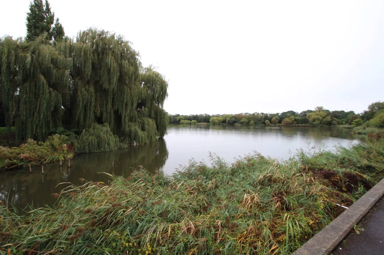 Amhurst Walk, London, Greater London, SE28, photo 10