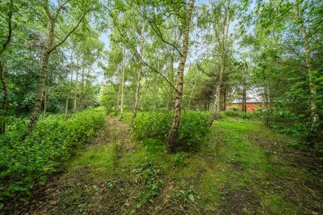 Main Road, Witney, OX29, photo 28