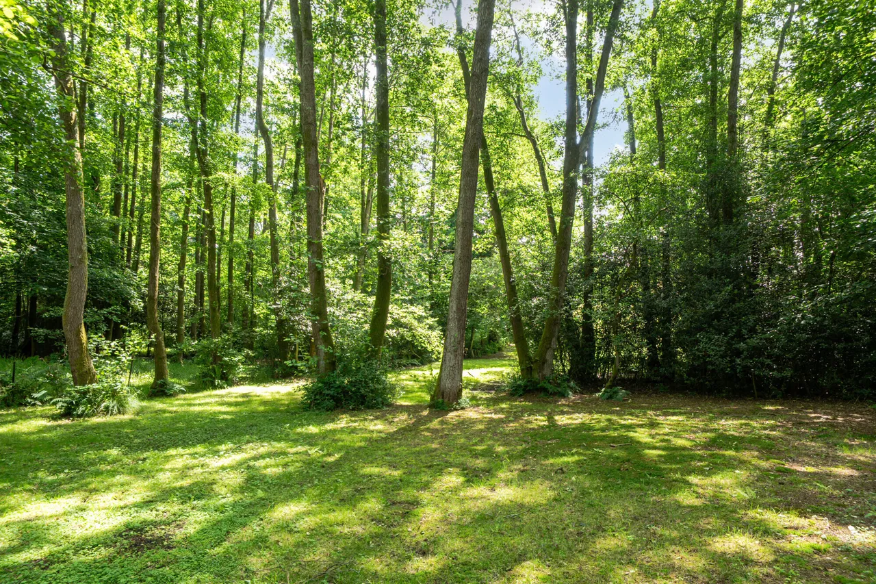 Wey Lodge Close, Liphook, GU30, photo 11