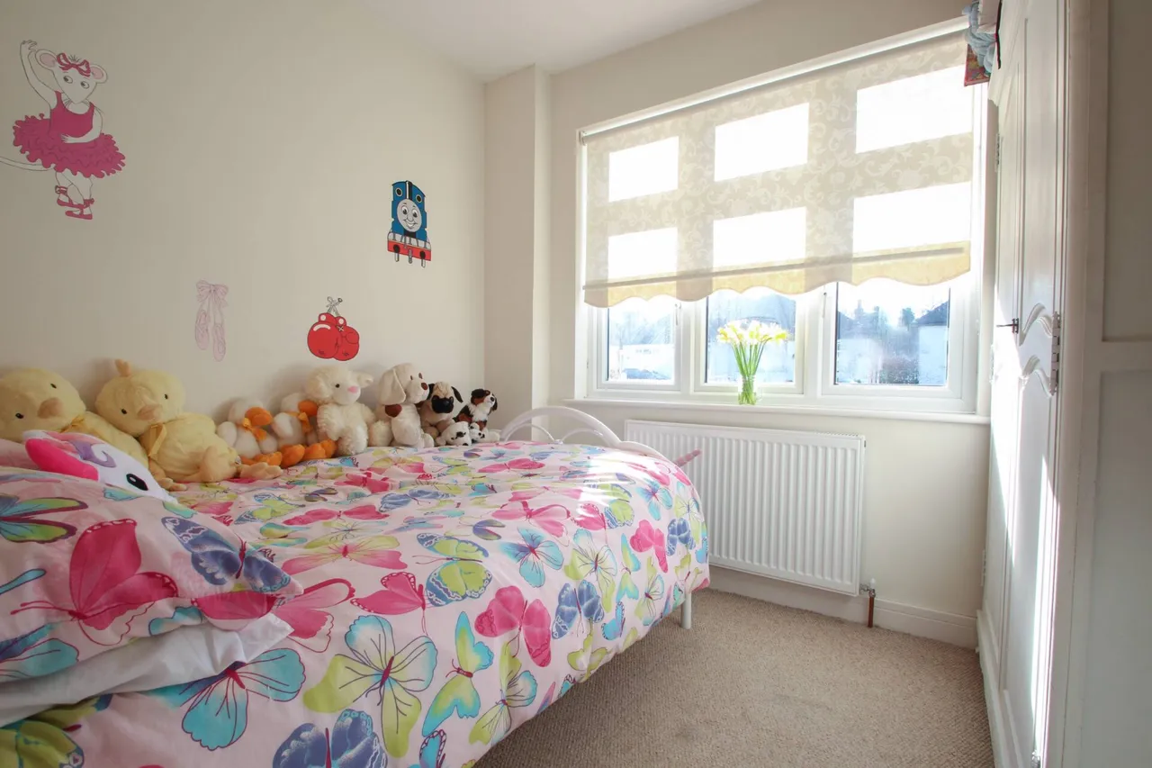 Blanmerle Road, London, photo 8