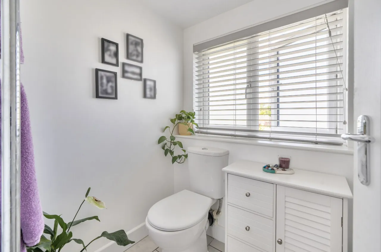 Palm Tree Way, Lyminge, CT18, photo 16