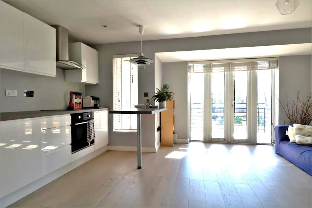 Portland Rise, N4, photo 4