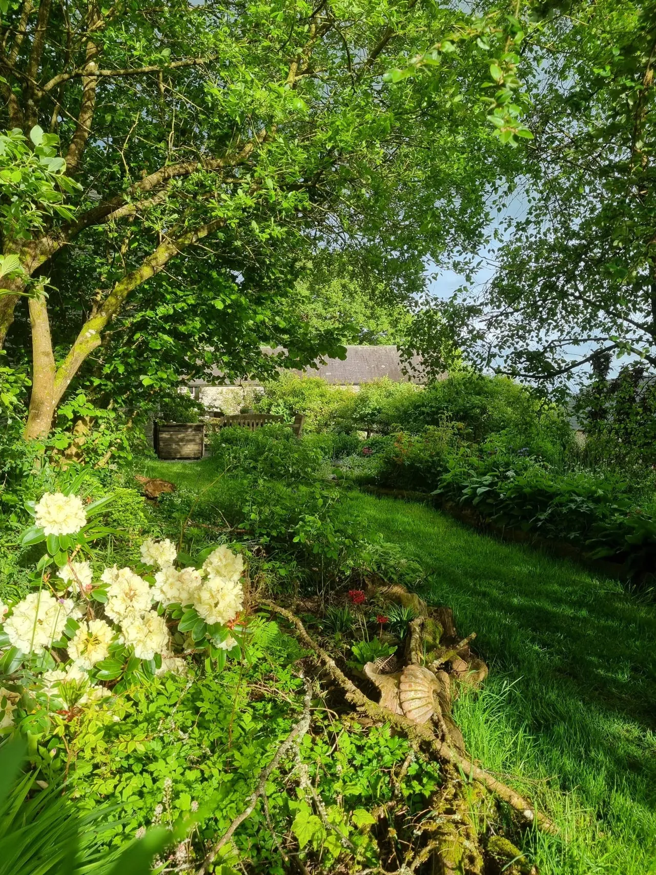 Pumpsaint, Llanwrda, SA19, photo 6