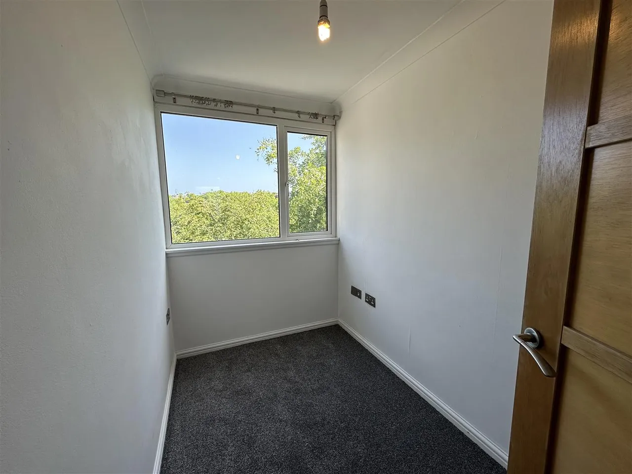 Wren Hill, Brixham, photo 14