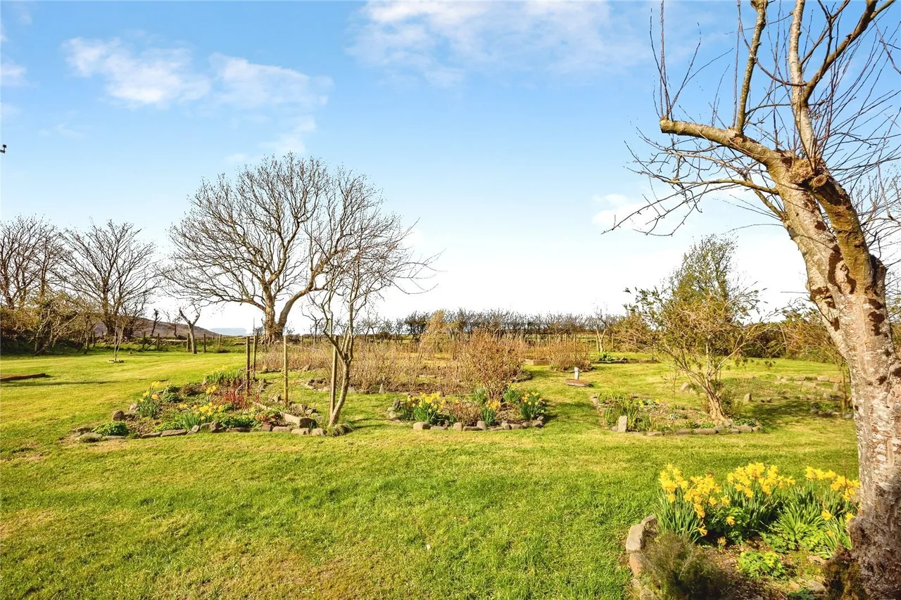Nanternis, New Quay, SA45, photo 32