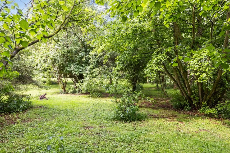 Magheraknock Road, Ballynahinch, BT24, photo 22