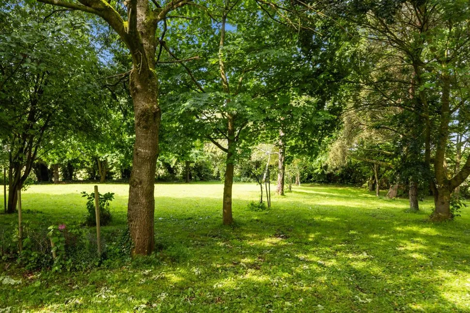 Magheraknock Road, Ballynahinch, BT24, photo 23